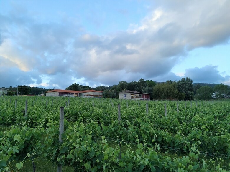 Agroturismo Casa Lata - Wine & Tourism