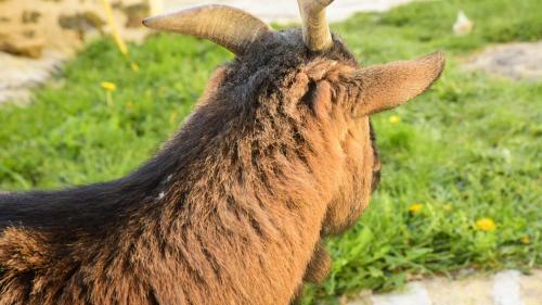 Bed & Breakfast Ch�teau De Perpezat