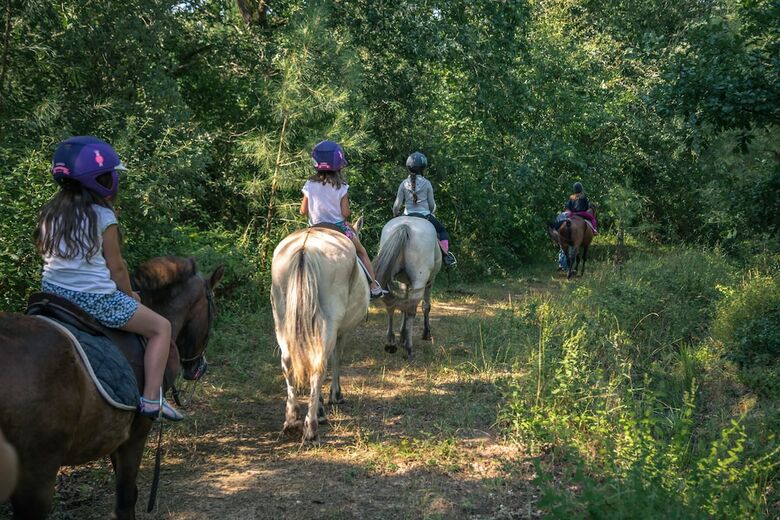 Village Vacances La Marti�re - Ol�ron