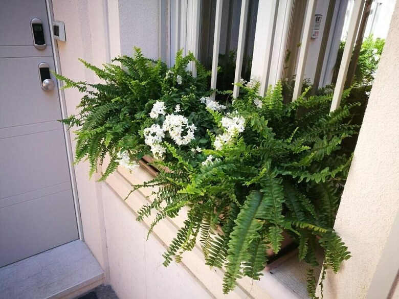 Bed & Breakfast Officina Tesini Guest Rooms Verona