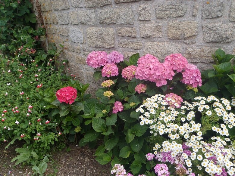 Bed & Breakfast La Maison De Coellee
