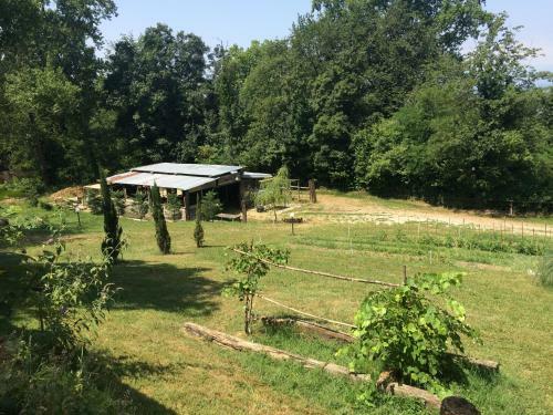 Bed & Breakfast Fattoria Sequoia