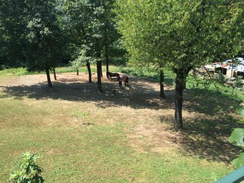 Bed & Breakfast Fattoria Sequoia