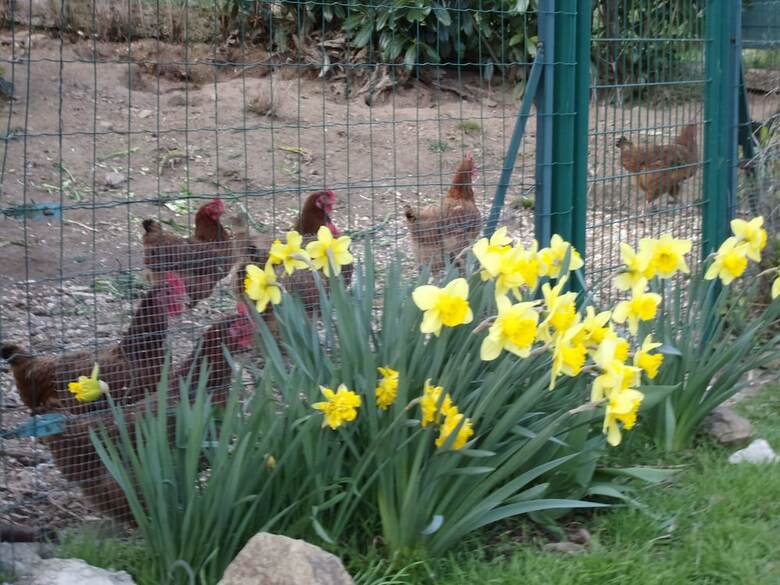 Bed & Breakfast La Chouette
