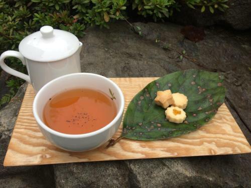 Hostal Otsu Nature Garden
