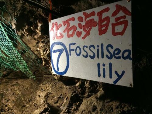 Hostal Otsu Nature Garden