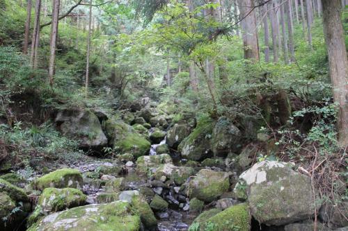 Hostal Otsu Nature Garden