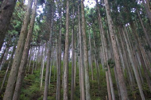 Hostal Otsu Nature Garden
