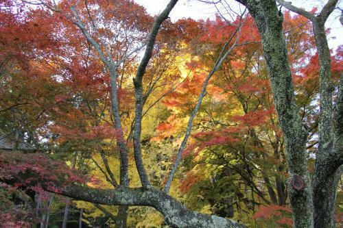 Hostal Otsu Nature Garden