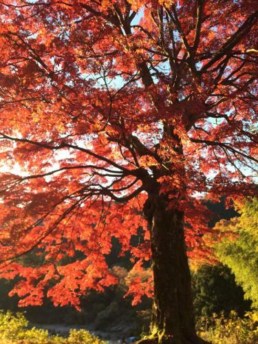 Hostal Otsu Nature Garden