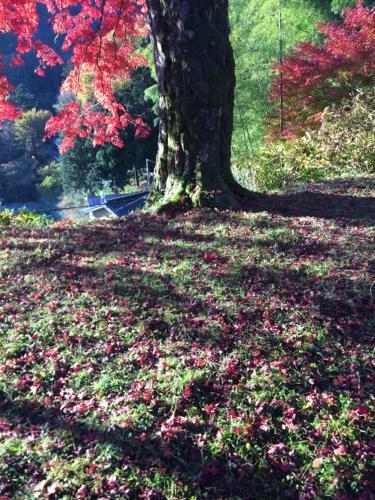 Hostal Otsu Nature Garden