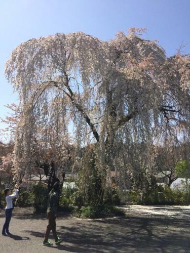 Hostal Otsu Nature Garden