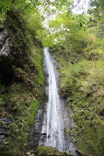 Hostal Otsu Nature Garden