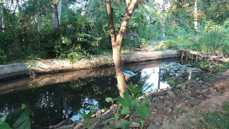 Hotel Ruwinsons Canal Garden