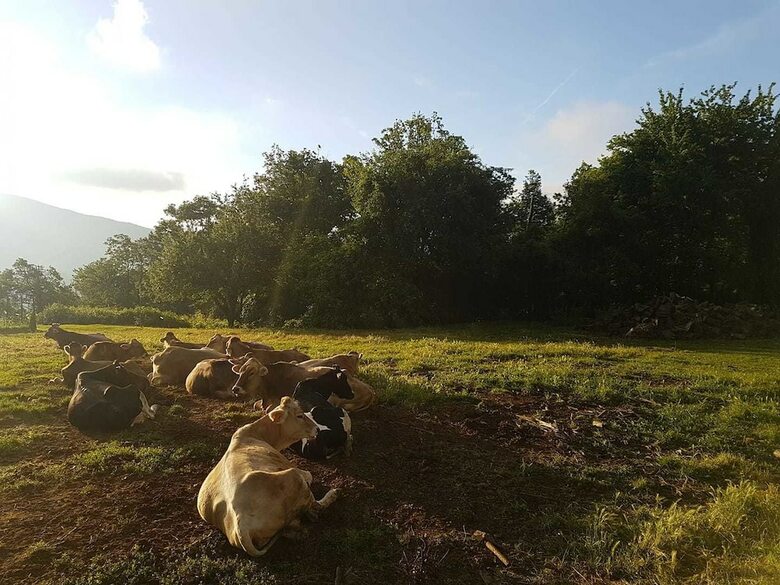 Agroturismo Azienda Agrituristica Lavag�