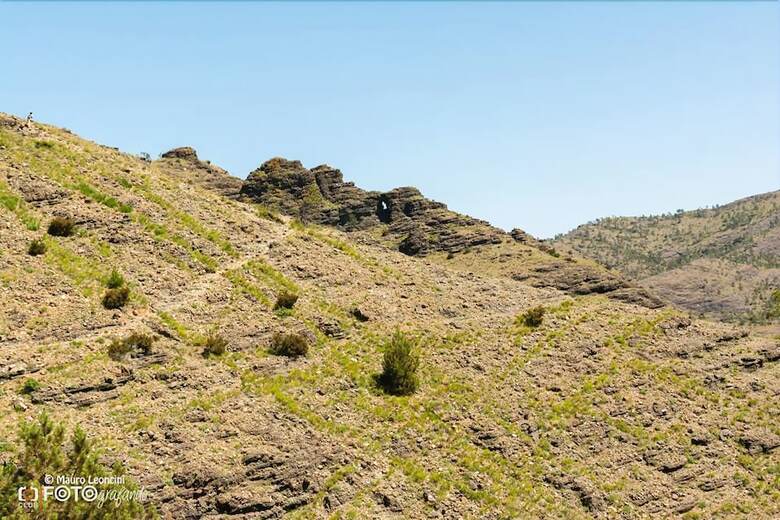 Agroturismo Azienda Agrituristica Lavag�