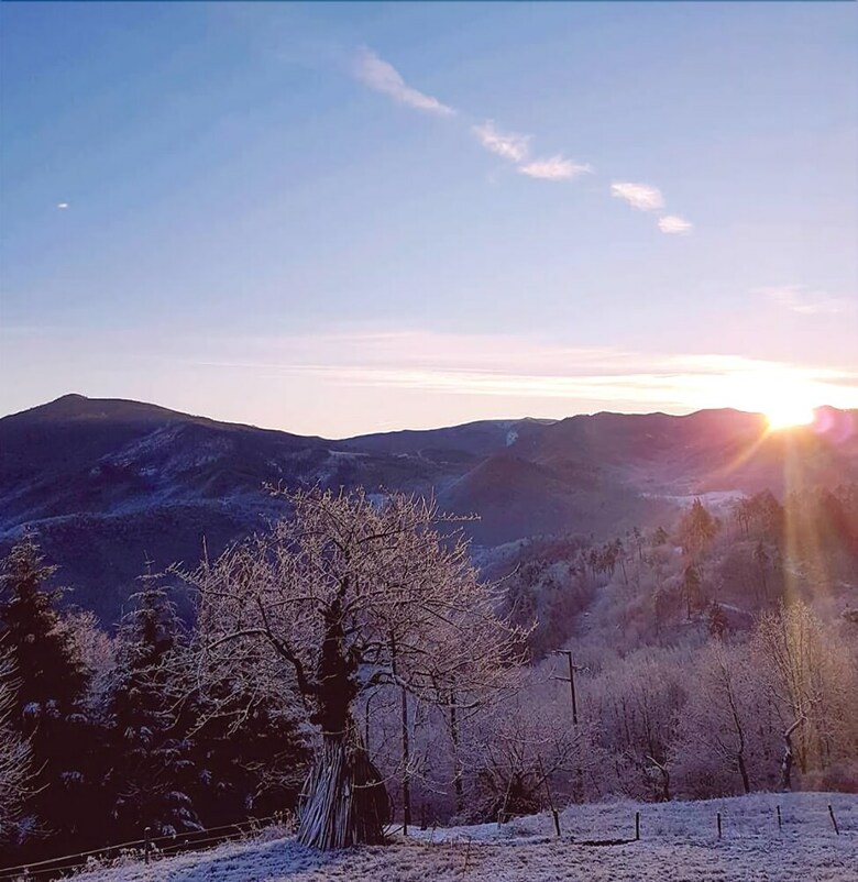 Agroturismo Azienda Agrituristica Lavag�