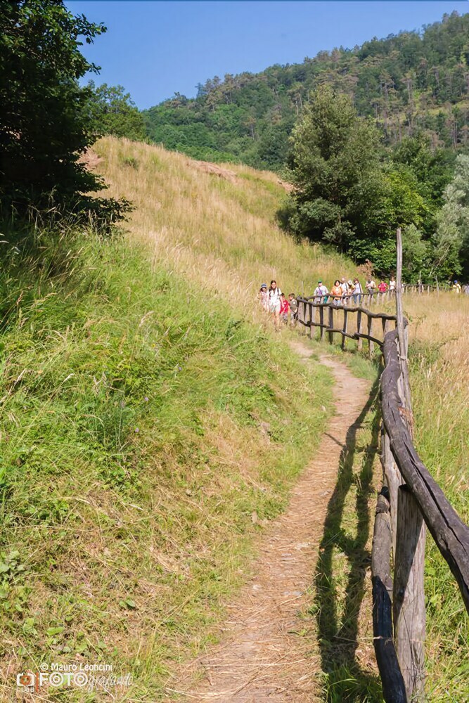 Agroturismo Azienda Agrituristica Lavag�