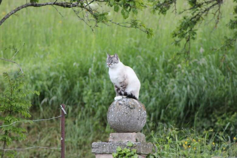 Bed & Breakfast Sur Le Chemin Des Buvats
