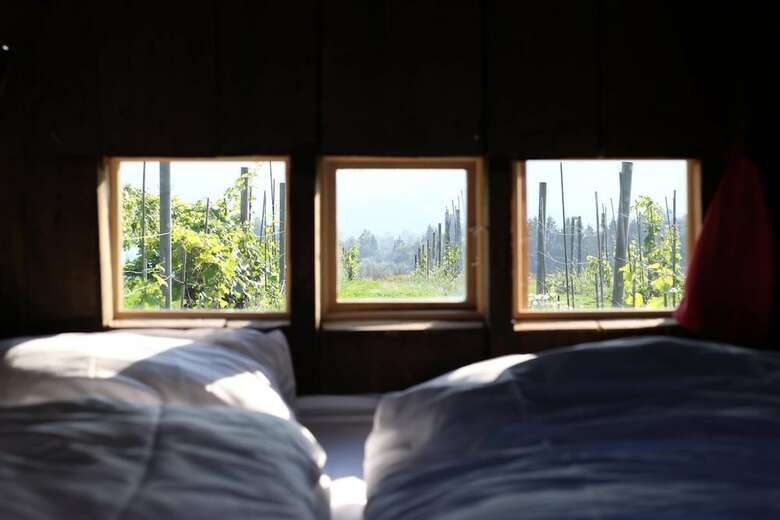 Agroturismo Lerkek�sa Ving�rd