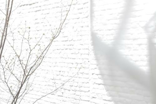 B&B Art De S�jour