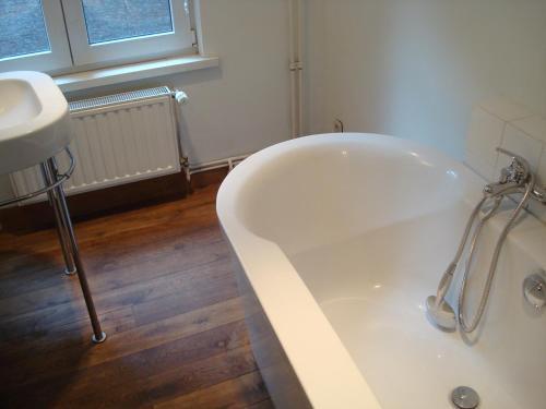 De Witte Leirsse 1557