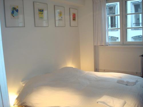 De Witte Leirsse 1557