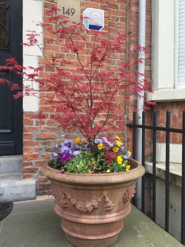 B&B Josaphat Park