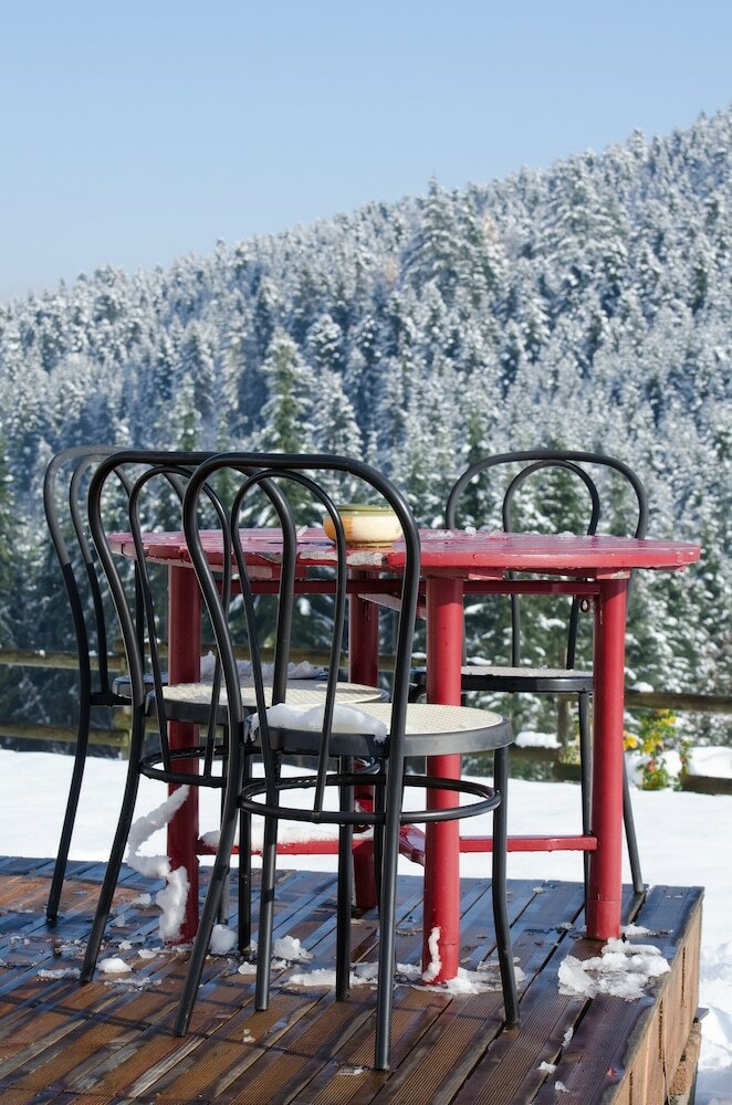 Hotel Yourtes En Terrasse