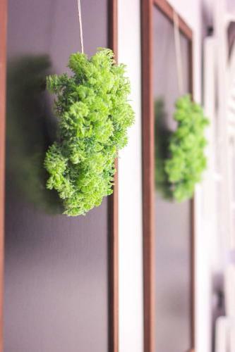Apartament Premium Blanka