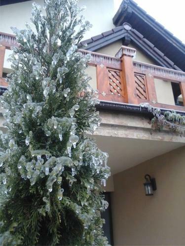 Agroturismo Studio Cristian-brasov