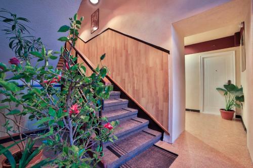 Hostel Odorhei