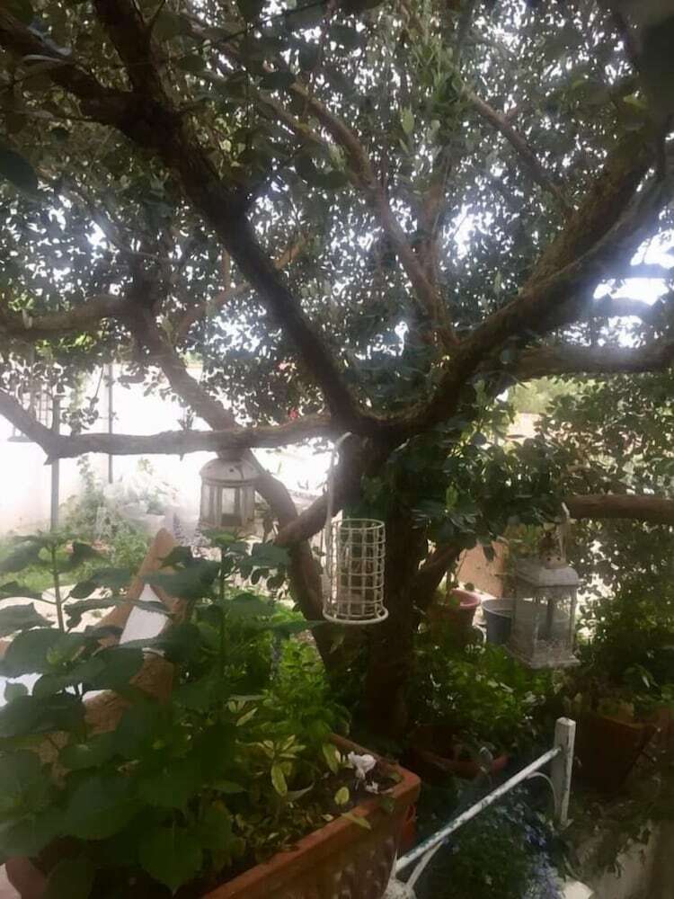 Bed & Breakfast Il Cenacolo Di Sissi