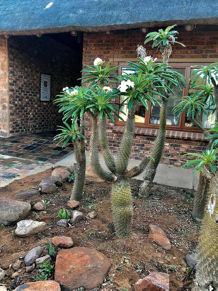 Posada Destri Lodge