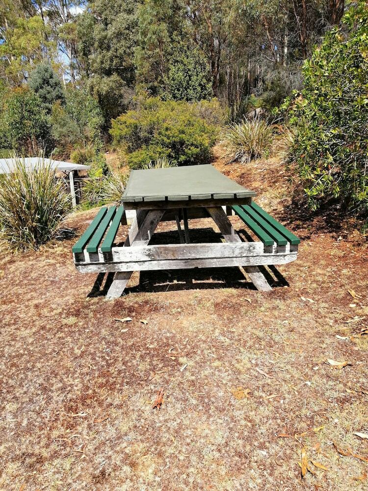 Minnow Cabins