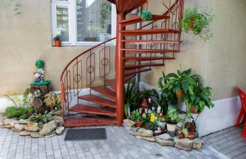 Hostal Guest House On Severnaya U Fontana