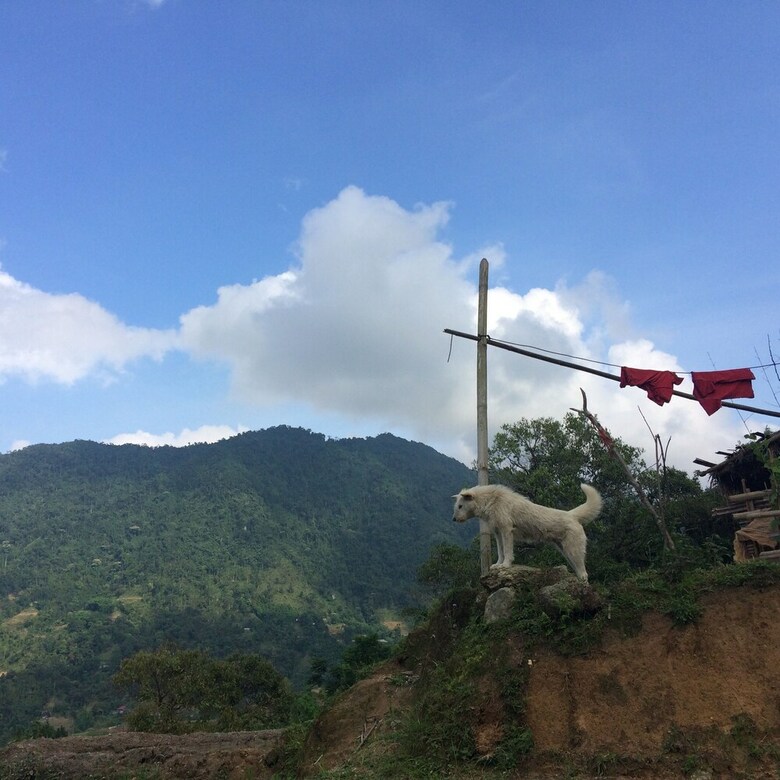Hostal Nam Soong Homestay - Hostel