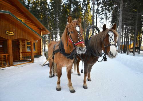 Holiday Park Russkaya Usadba