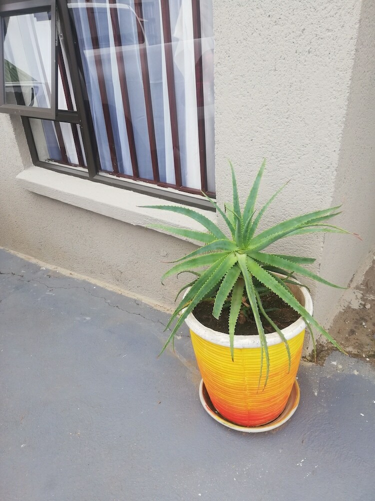 Hotel Btv Guesthouse