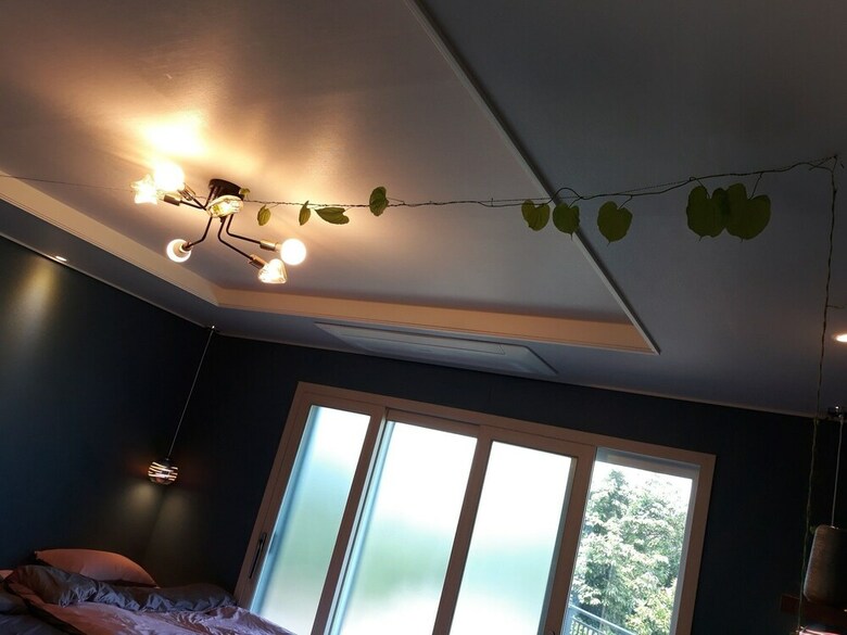 Hotel Flower And Shade