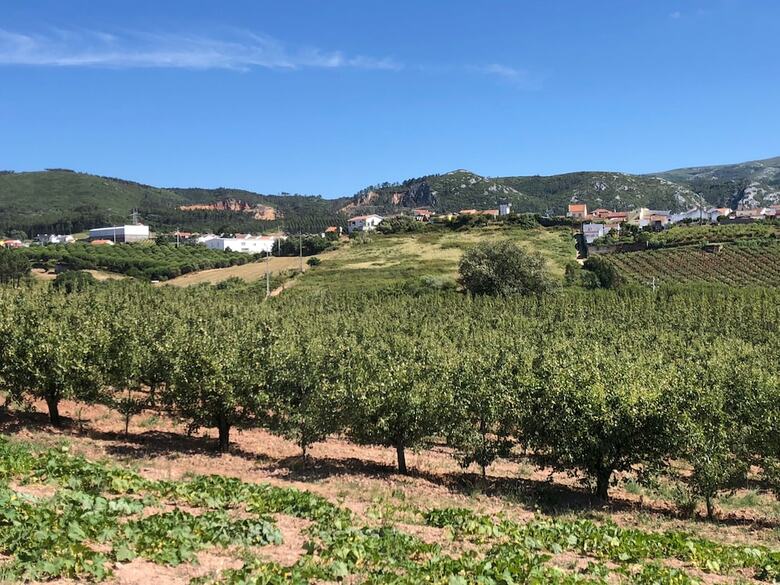 Agroturismo Terra Luso