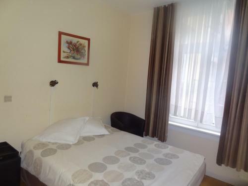 Hostal Logies Ocelot