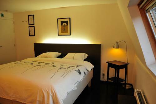 Hostal Logies Ocelot
