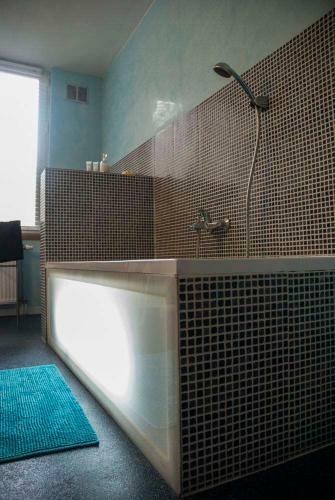 Hostal Logies Ocelot