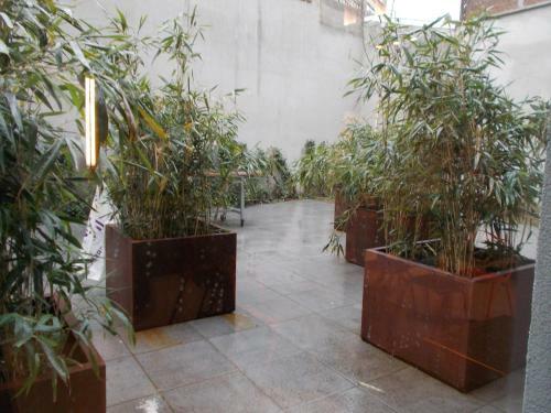 Brxxl 5 City Centre Hostel