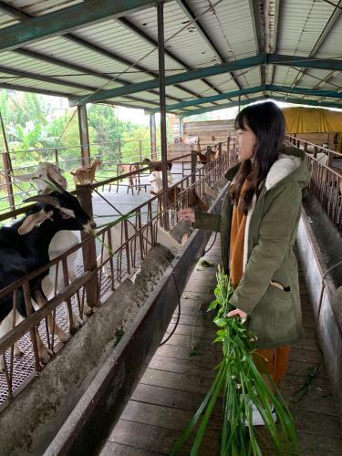 Xu Sheng Praised Homestay