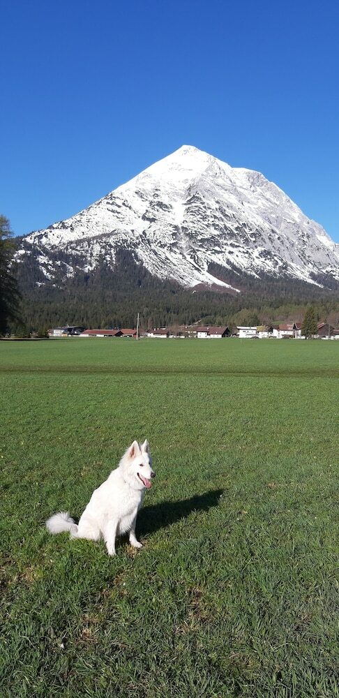 Apartamentos Ostbacher-stern