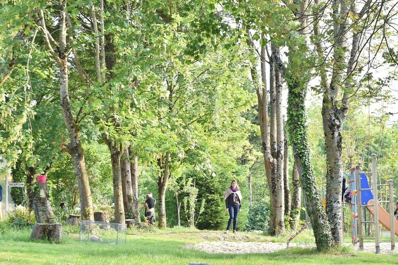 Camping Le Petit Lion - Gites
