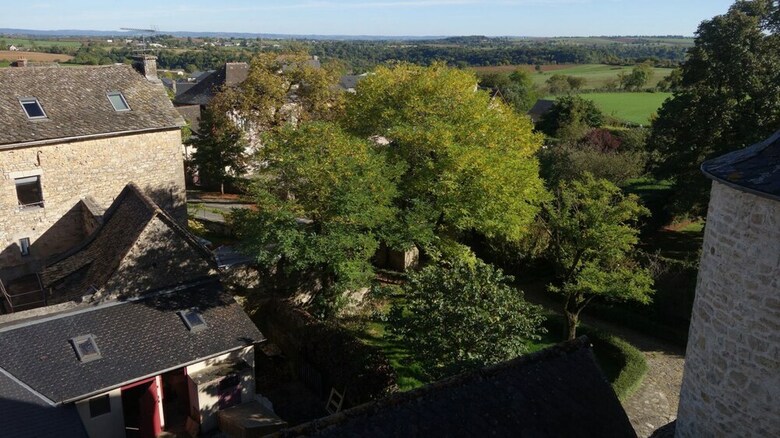 Le Donjon Du Ch�teau