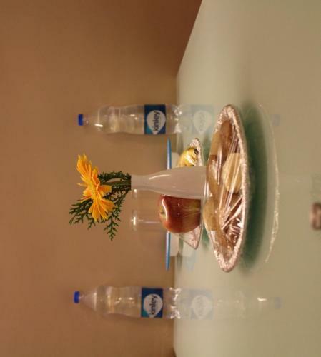 Hotel Pooja International